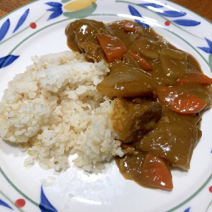 根菜たっぷりカレー☆無水鍋で簡単調理